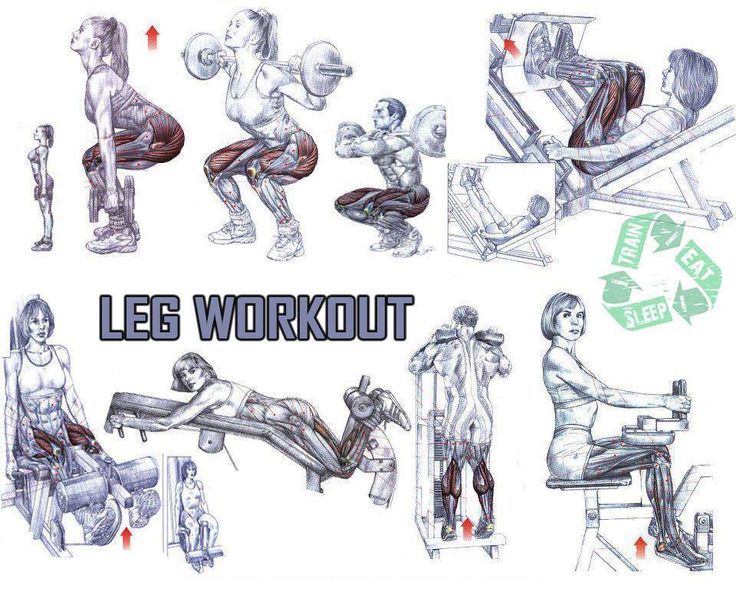 Leg Workout Chart